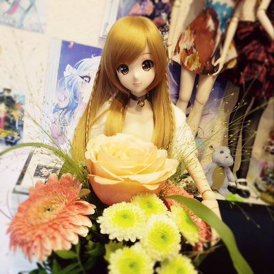 Smart Doll - Mirai – Smart Doll Store