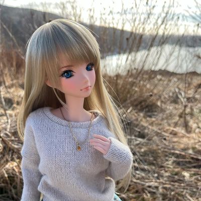 First Edition Smart Doll top Independence Head & Wig