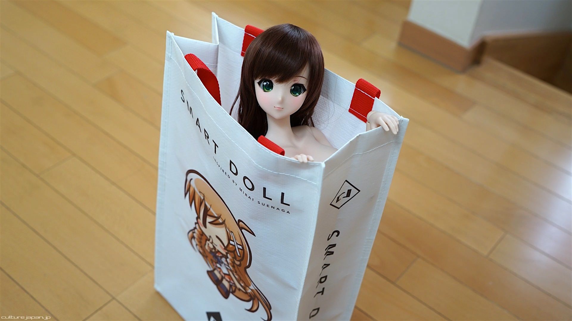 Welcome to Smart Doll Land